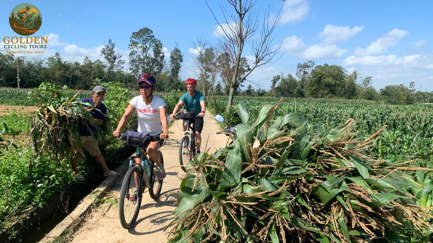 3-Day Da Nang Cycling Tour: Hoi An, My Son & Son Tra Peninsula